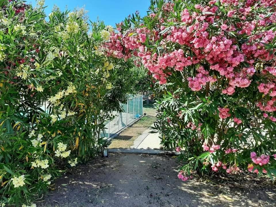 Orasi Sartene Gite Casa Fiurita Eksteriør billede